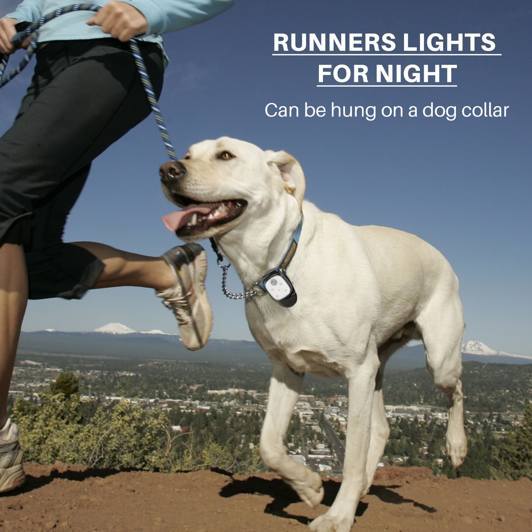 XSXS-наружные ночные ходовые о – обзор и цена Running Gear Accessories